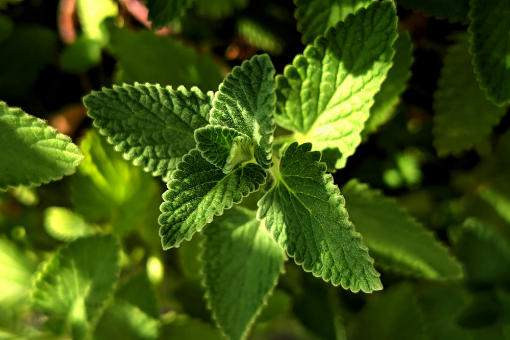 design ohne titel(10)